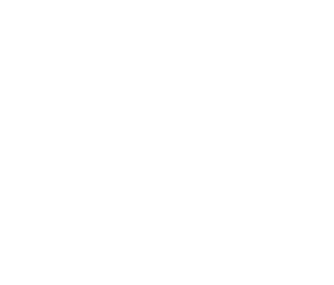 GREEN INFRA 100 PROJECT